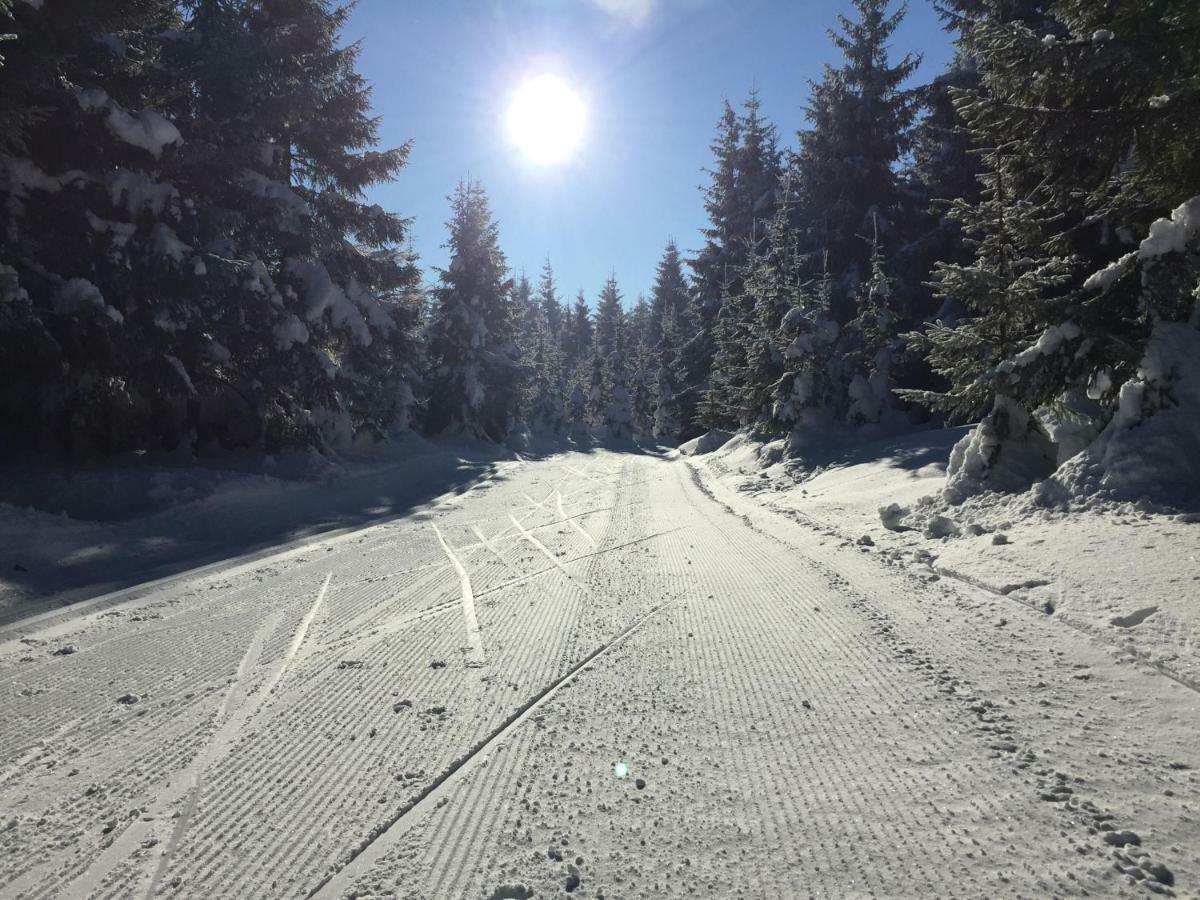Beerenvilla Altenberg  Εξωτερικό φωτογραφία